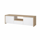 Modulo Tv Next 2 Puertas