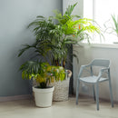 Silla De Comedor Cobram