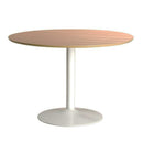 Mesa De Comedor Ibiza