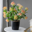 Jarron Gleem Pequeño