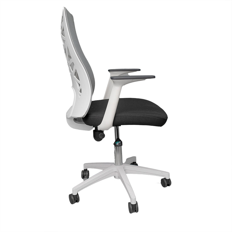Silla Onega