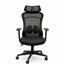 Silla Modena